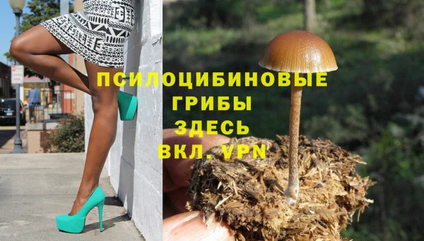 кокс Алзамай