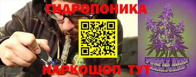 ГАЛЛЮЦИНОГЕННЫЕ ГРИБЫ Тулун