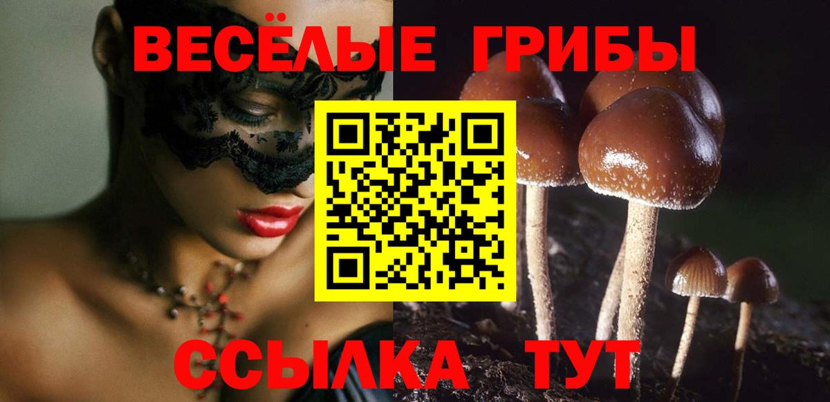 Псилоцибиновые грибы Magic Shrooms Новочебоксарск